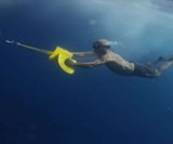 NautBoard Handheld Towable