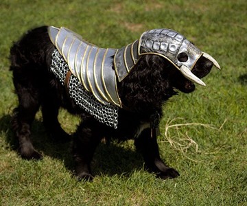 Wild Knight Dog Armor Wild Knight Dog Armor