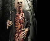 Movie Quality Zombie Costume