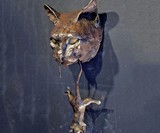 Cat & Mouse Door Knocker