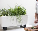 Glowpear Urban Garden Self-Watering Planters