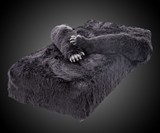 The Harambed