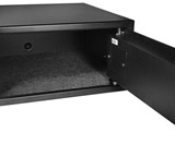 Biometric Safe