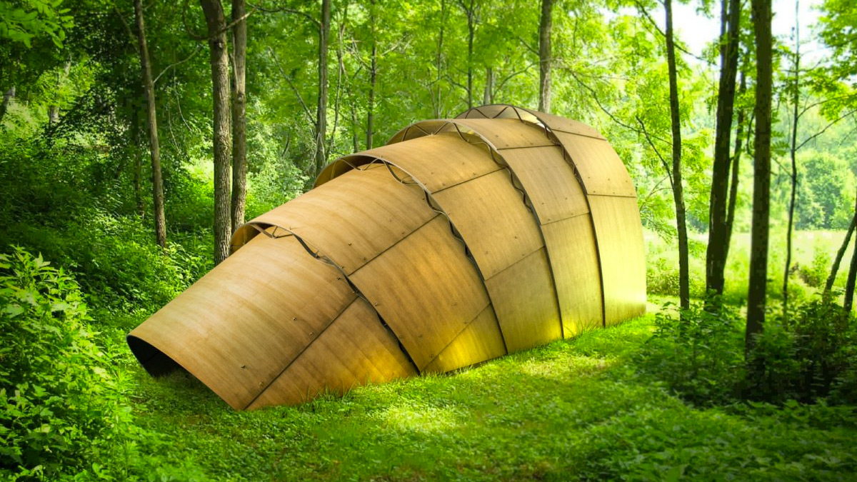 Armadillo Tea Canopy Armadillo Tea Canopy