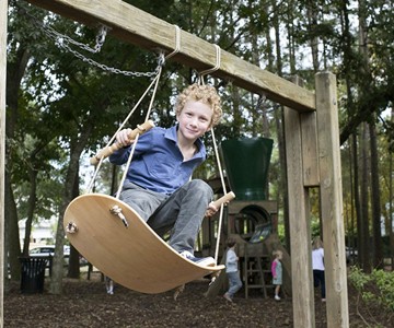 The Swurfer Swing