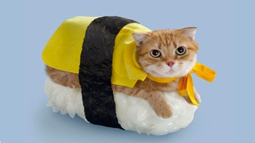 The 10 Weirdest Japanese Products
