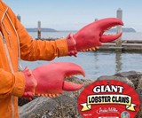 Giant Lobster Hand Claws