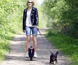 Airwheel Unicycle Scooter