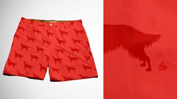 Irish Setter Magic Pattern Shorts