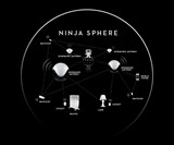 Ninja Sphere Environment Controller