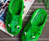 Frog Clogs