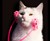 Cat Face Massager Cat Face Massager