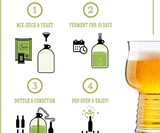Craft A Brew Hard Cider Kit