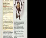 Volo's Guide to Monsters