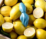 Octopus Citrus Reamer