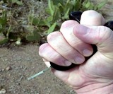 Yoogo Self Defense Keychain