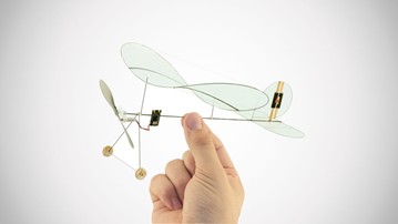 Carbon Butterfly RC Plane Carbon Butterfly RC Plane