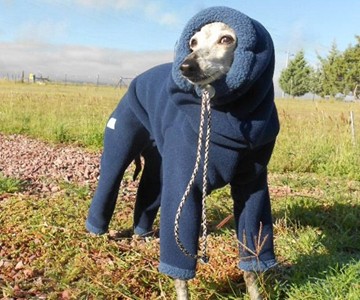 Dog Snowsuit Dog Snowsuit