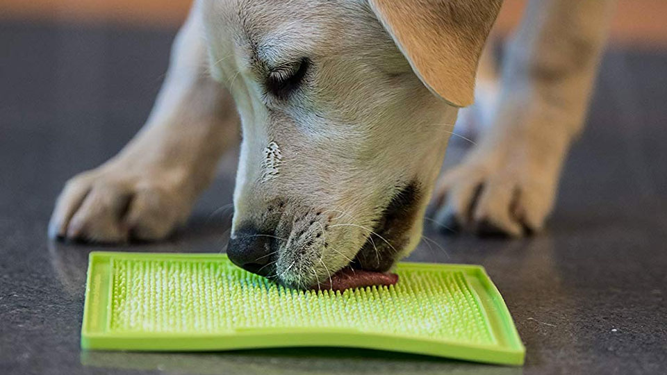 Hyper Pet Lickimat - Slow Feeder Dog Mat