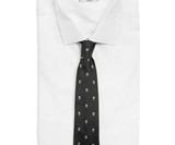 Alexander McQueen Skull Tie