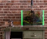 Voodoo Tanks - Aquariums with Glowing Edges