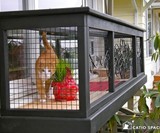 Catios - Cat Patios