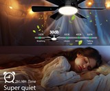 Socket Fanlight