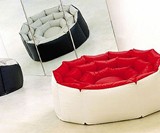 Chameleon Lounger