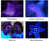 UV Black Light Flashlight