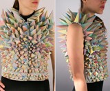 Stegosaurus Vest - Front & Side Views