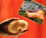 Fetus & Foot Soap