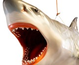 Life Size Jaws Sculpture