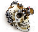 Erasmus Darwin's Steam-Cerebrum Skull