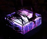 ASB Nautilus Glass LED Hot Tub