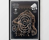 Star Wars Shooting Targets