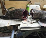 Taxidermy Animal Drones
