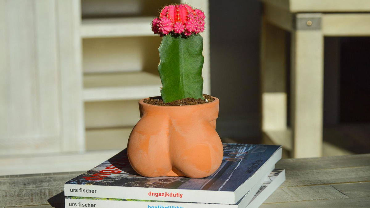 TERRACOCK'n'BALLS Planter TERRACOCK'n'BALLS Planter