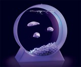 Pet Jellyfish Tank
