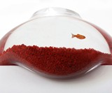 Bubble Tank