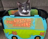 Scooby-Doo Mystery Machine Pet Carrier