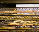 Smart Oven Air Fryer, Roaster & Dehydrator