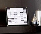 DNA Portraits Small Desktop