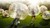 The 12 Best Products for Socially Distanced Summer Fun The 12 Best Products for Socially Distanced Summer Fun