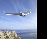 Parrot Disco Drone