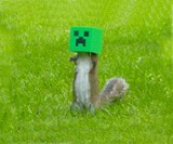 Minecraft Squirrel Feeder