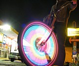 Monkey Lights
