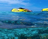 Zayak Sea Sled
