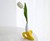 Banana Vase