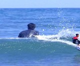 Kyosho RC Surfer