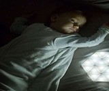 Kangaroo Light